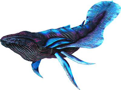 Астроцетус