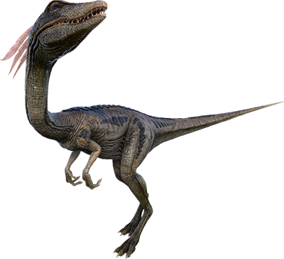 Компсогнат