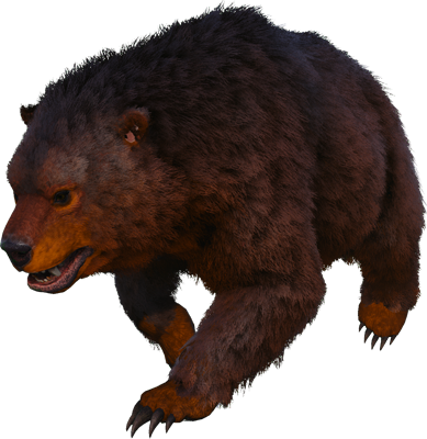 Свирепый медведь