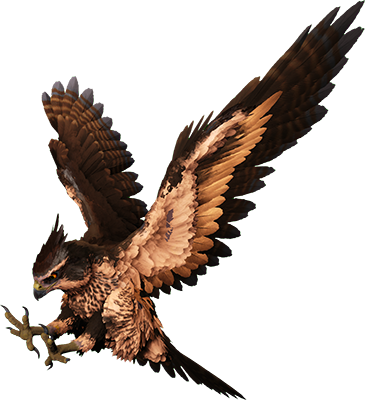 Ястреб Фьордов