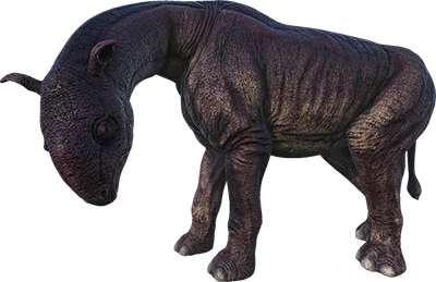 Парацератерий