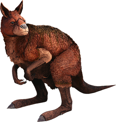 Прокоптодон